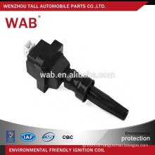 The top quality newest ignition coil 96213181 for VW